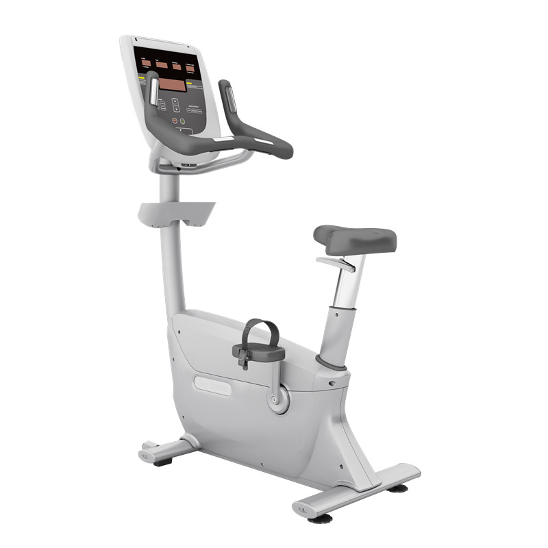 530 Recumbent Bike