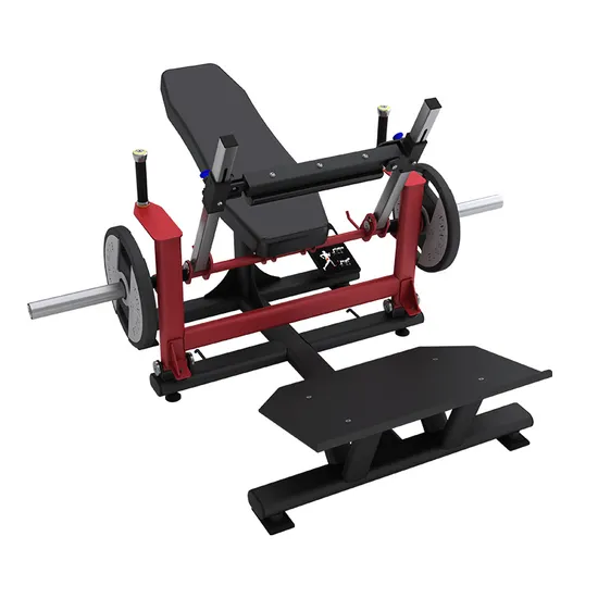 Leg Press